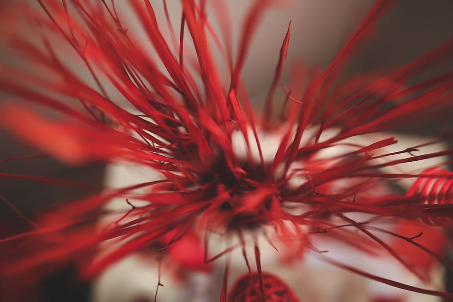 red, lines, background, texture, bokeh, close up, plant, close-up HD wallpaper