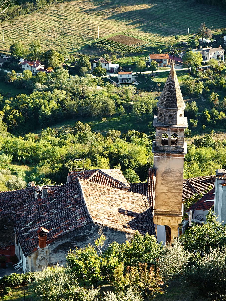 croatia, holiday, motovun, tower, church, coast, mediterranean