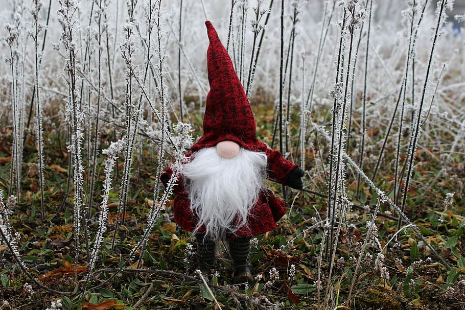 dwarf on green grassland, imp, santa claus, cap, figure, nicholas HD wallpaper
