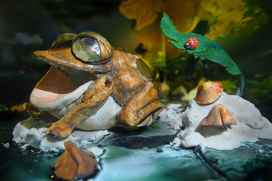 leather, frog, toys, leaf, animal, plant part, close-up, nature HD wallpaper