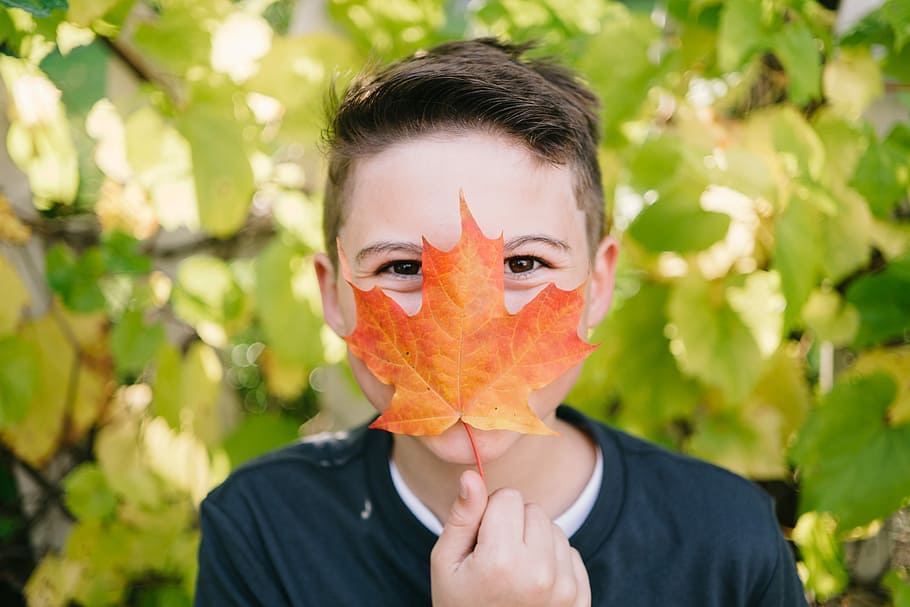 closeup photo of man covering his mount with leaf, boy holding brown leaf HD wallpaper