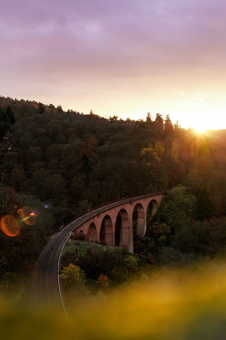 golden hour photography of railroad, gray concrete bridge near green leafed trees during daytime HD wallpaper