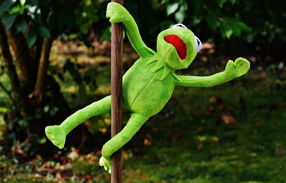 Kermit the Frog holding on pole, pole dance, funny, soft toy