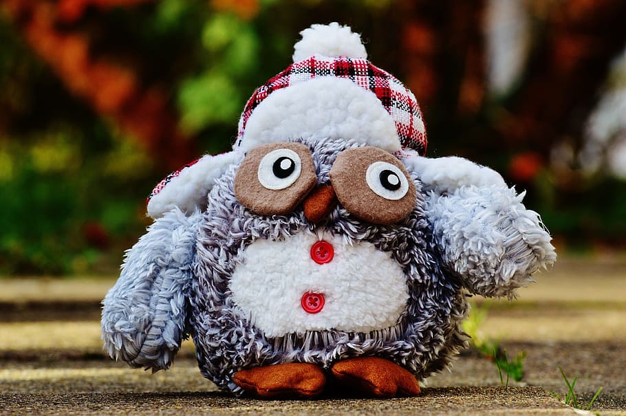 Owl, Winter, Cap, Plush, autumn, funny, cute, bird, buttons HD wallpaper