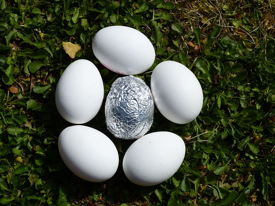 egg, nature, easter nest, easter eggs, aluminium, white, structure HD wallpaper
