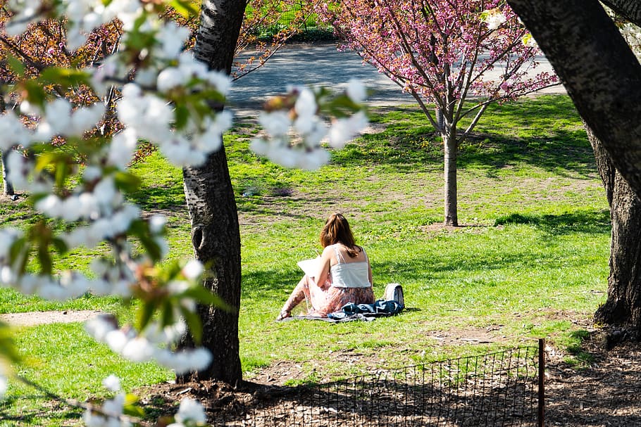 new york city, central park, relaxation, sunbathing, spring, HD wallpaper