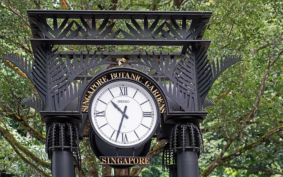 clock, botanical garden, singapore, park, input, time of, architecture, HD wallpaper