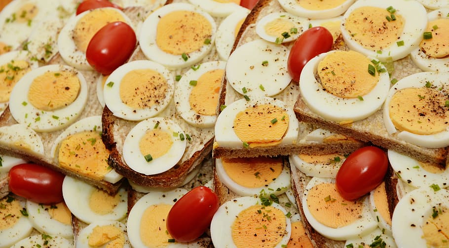 sliced boiled egg, egg sandwich, bread, yolk, boiled eggs, party snack HD wallpaper