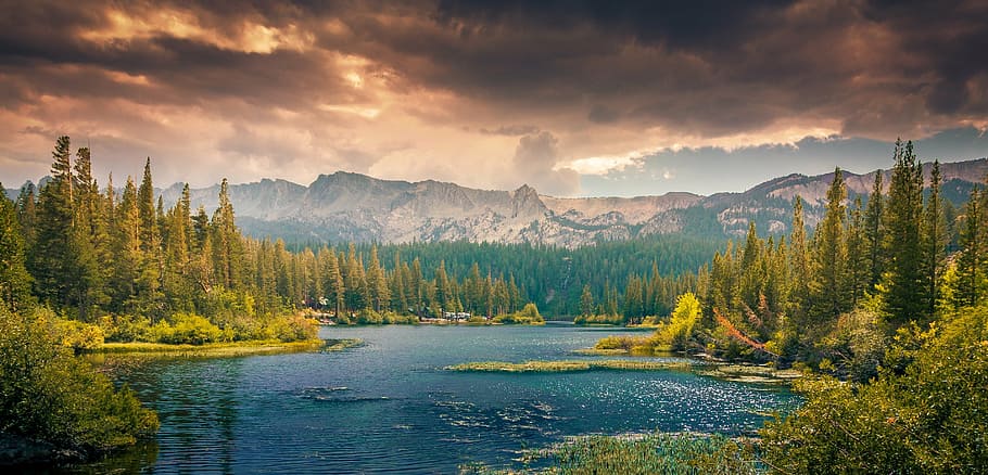 body of water between green trees under dark clouds, landscape HD wallpaper