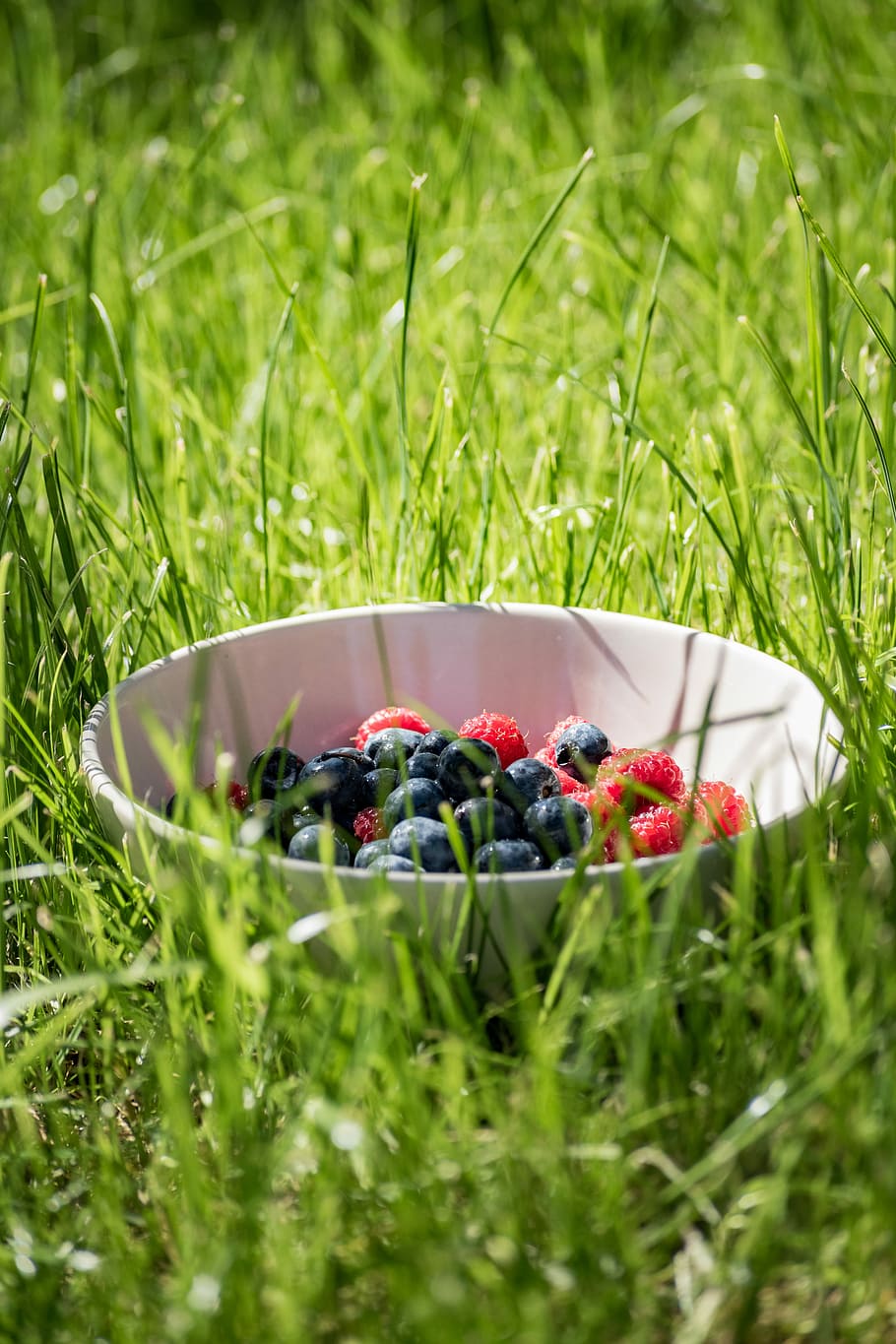 blueberry and raspberry on white bowl, blackberries beside of raspberries HD wallpaper