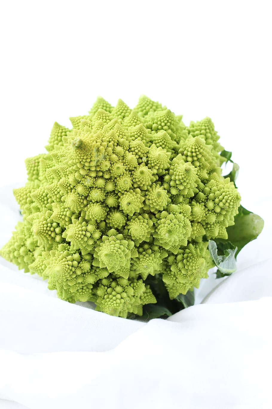 green leaf plant, green decorative flowers, food, broccoli, vegetable HD wallpaper