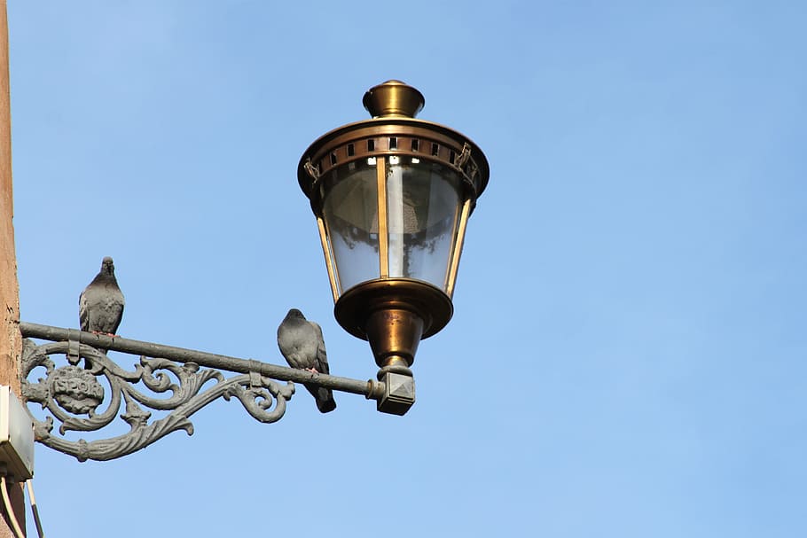 Street Lamp, Light, Fitting, Birds, pigeon, perching, ornamental HD wallpaper