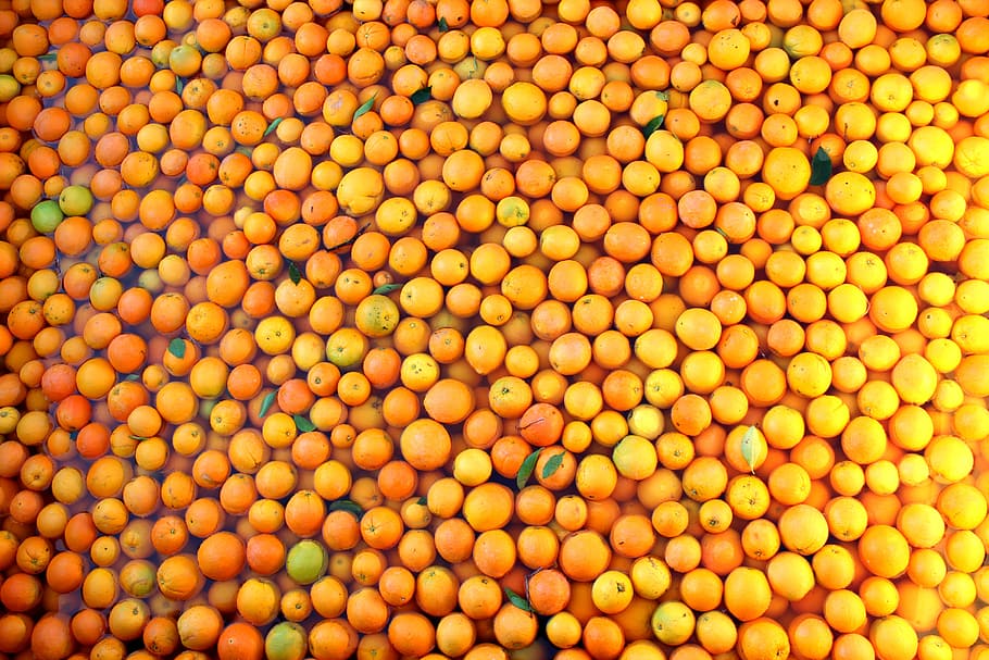 Oranges, Fruit, Fresh, Food, Healthy, citrus, ripe, organic, HD wallpaper