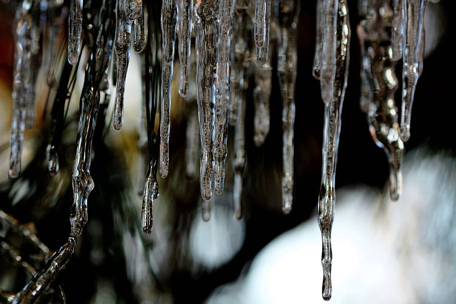 icicles, winter, ice, frost, icy, nature, season, snow, frozen HD wallpaper