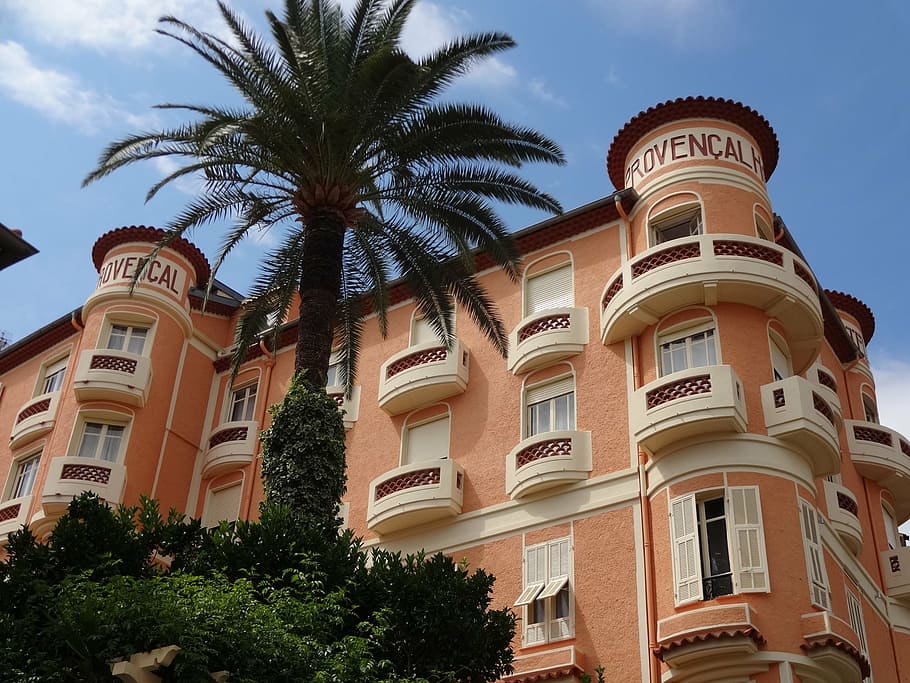 monaco, palace, palma, low angle view, tree, built structure HD wallpaper