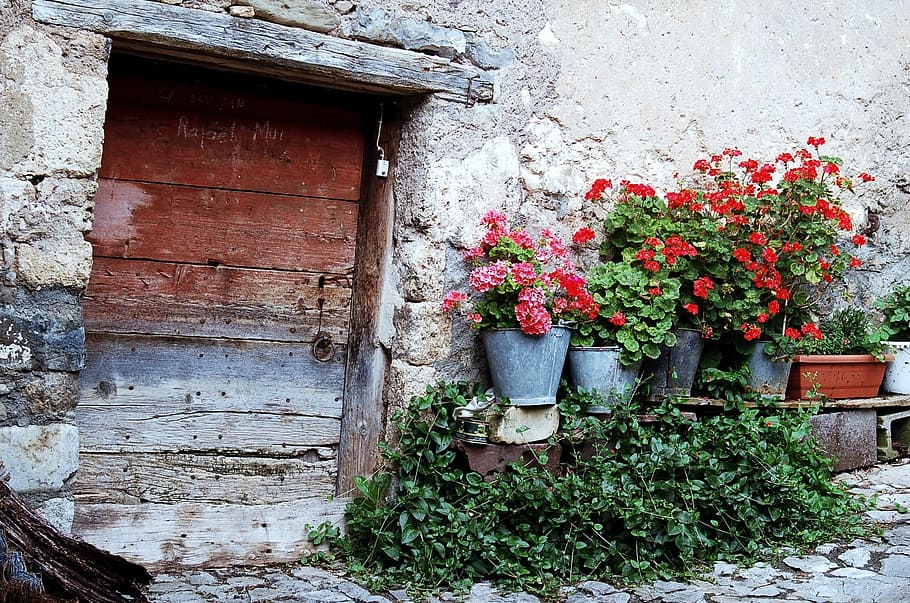 flowers and brown wooden door near wall at daytime, old house