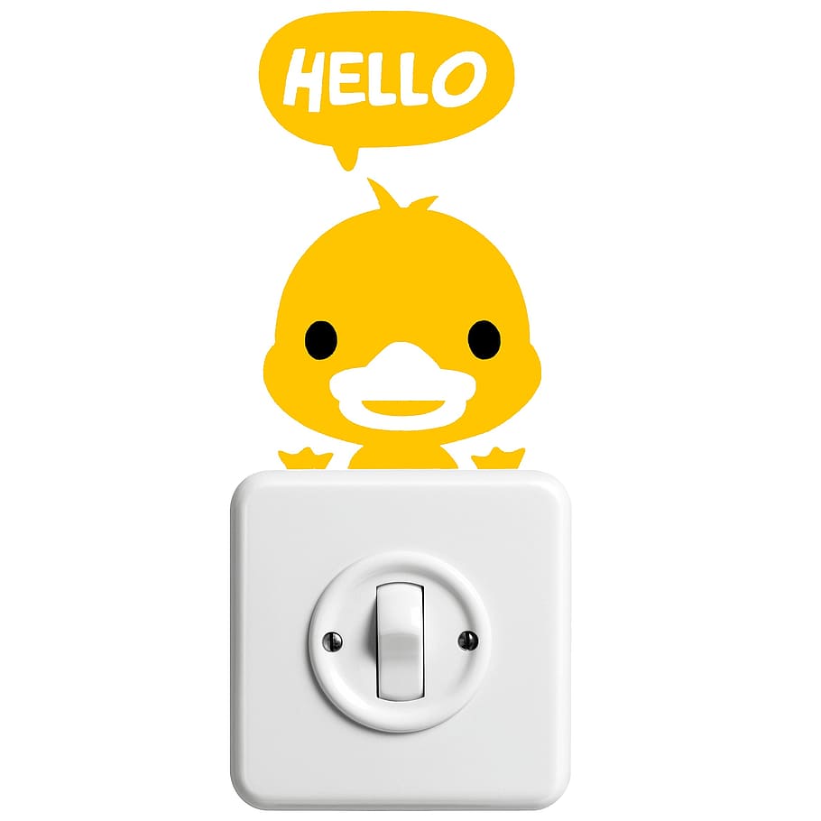 square white switch plate, duck, duckling, hello, animals, pet HD wallpaper