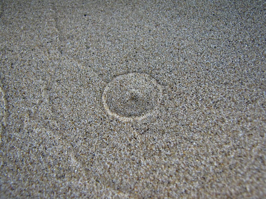 texture, sand, nature, soil, earth, natural, ground, land, beach HD wallpaper