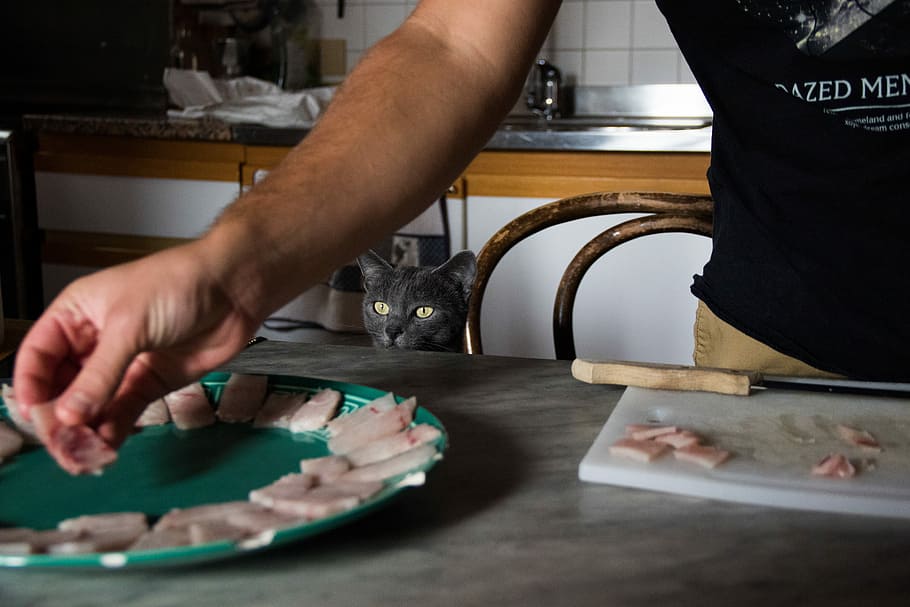 person chopping some meats, man in black and white printed shirt places sliced meats on green plate HD wallpaper