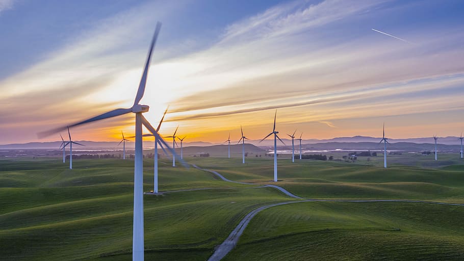 white wind mill lot on green field, wind turbines during sunset HD wallpaper
