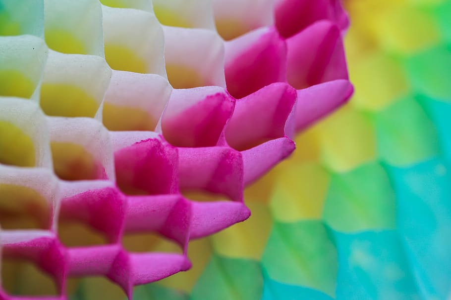 range chinese, decoration, macro, close-up, no people, pink color HD wallpaper