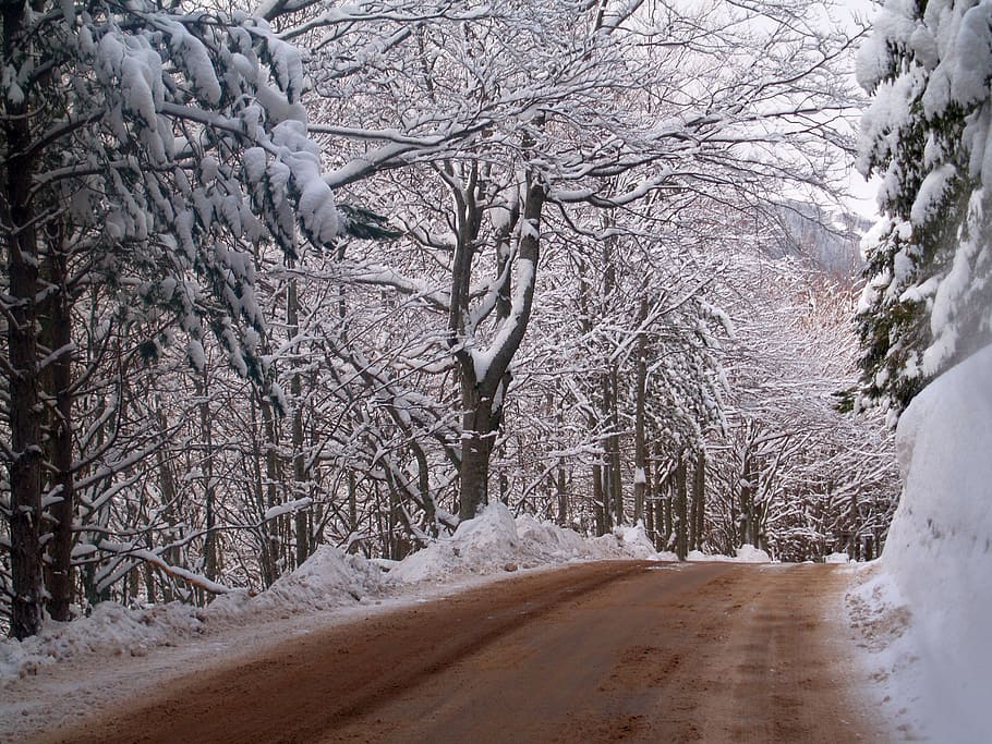 nature, winter, mountain, snow, tree, cold temperature, plant HD wallpaper