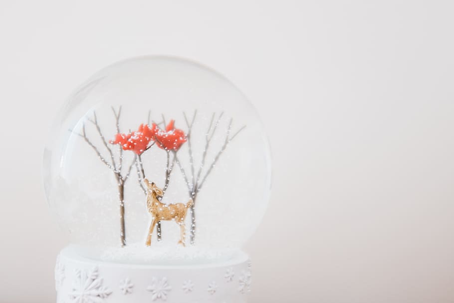 Snow ball with a deer, objects, decoration, flower, indoors, white background HD wallpaper