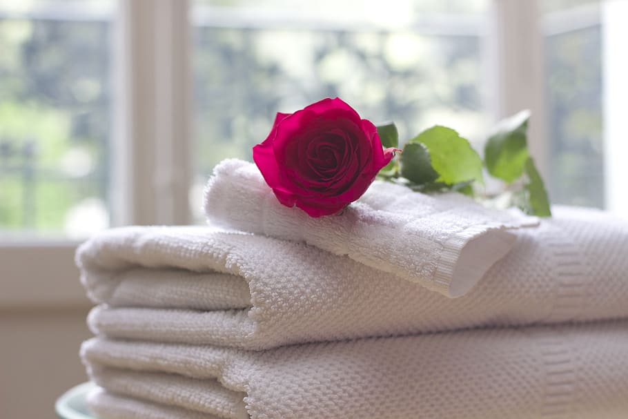 red rose on top of white towels near window, clean, care, salon