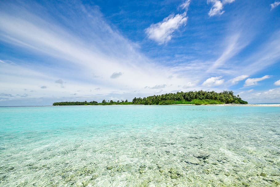sea, nature, sky, beach, clouds, environment, forest, idyllic HD wallpaper