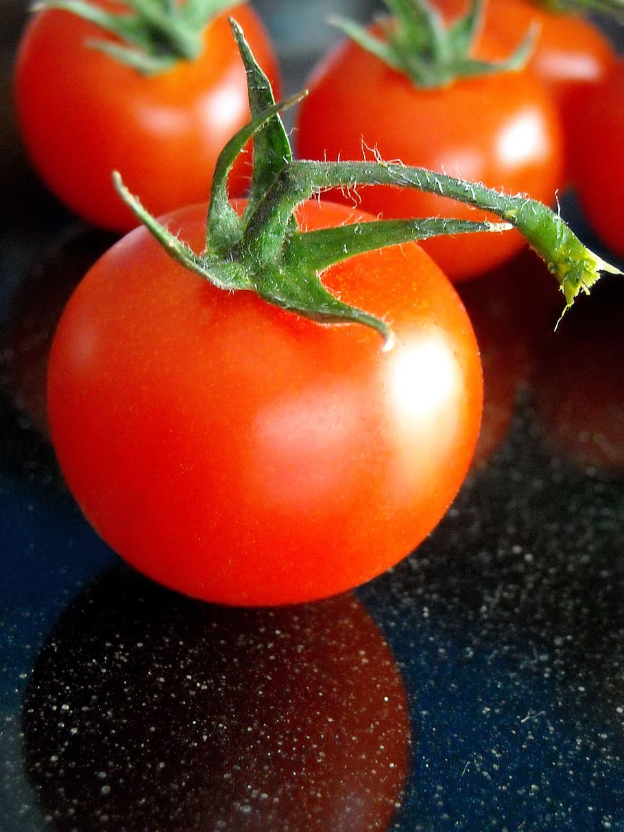 tomato, tomatoes, vegetables, vegetale, eat, food, red, garden HD wallpaper