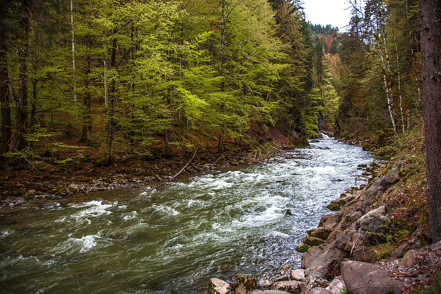 breitachklamm, bavaria, gorge, mountain stream, water, murmur HD wallpaper