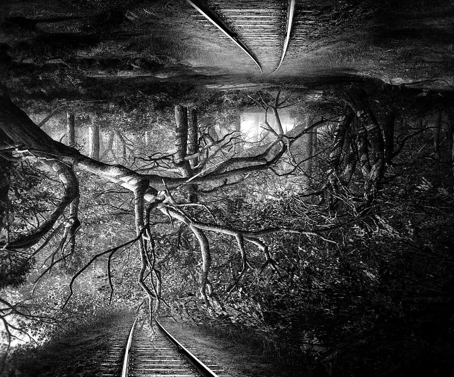 surreal, vice versa, upside down, landscape, forest, rails HD wallpaper