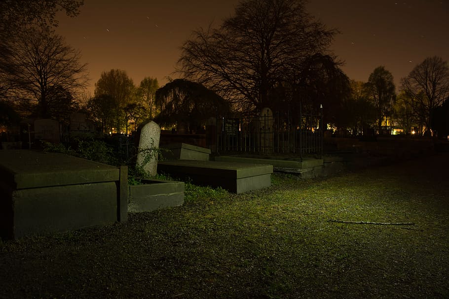 photography of cemetery, gray, grave, night, graveyard, tombstones