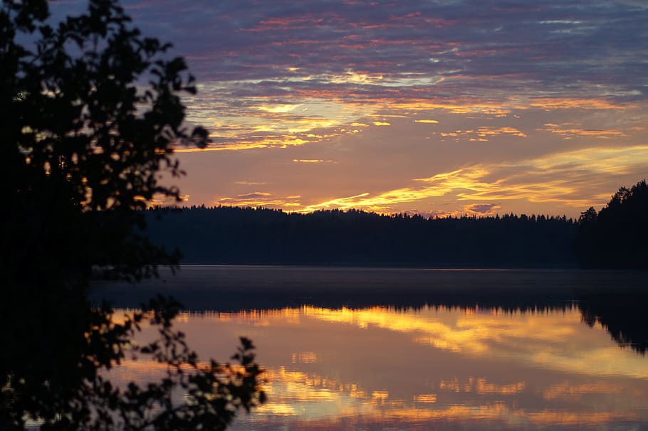 sunset, shrubs, summer, swedish, water, reflection, sky, tranquility HD wallpaper
