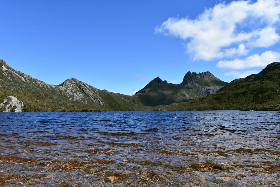 australia, tasmania, cradle mountain, lake, water, tourist, HD wallpaper