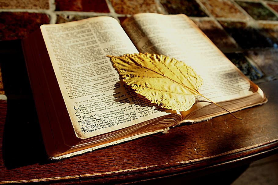 white printed book page with yellow leaf, bible, read, bookmark HD wallpaper