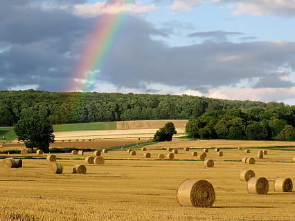 Rainbow, Weather, Mood, Sky, natural spectacle, natural phenomenon HD wallpaper