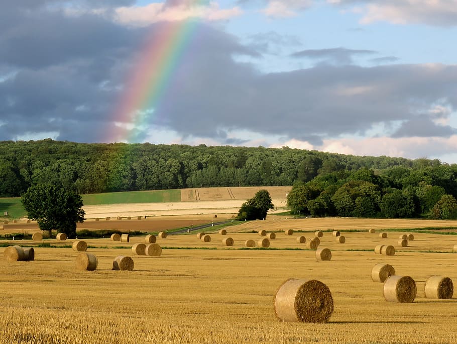 Rainbow, Weather, Mood, Sky, natural spectacle, natural phenomenon HD wallpaper