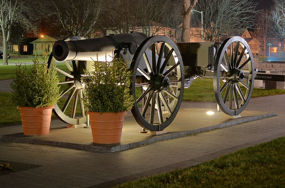 canon, weapon, medieval, war, museum, historic, plant, tree HD wallpaper