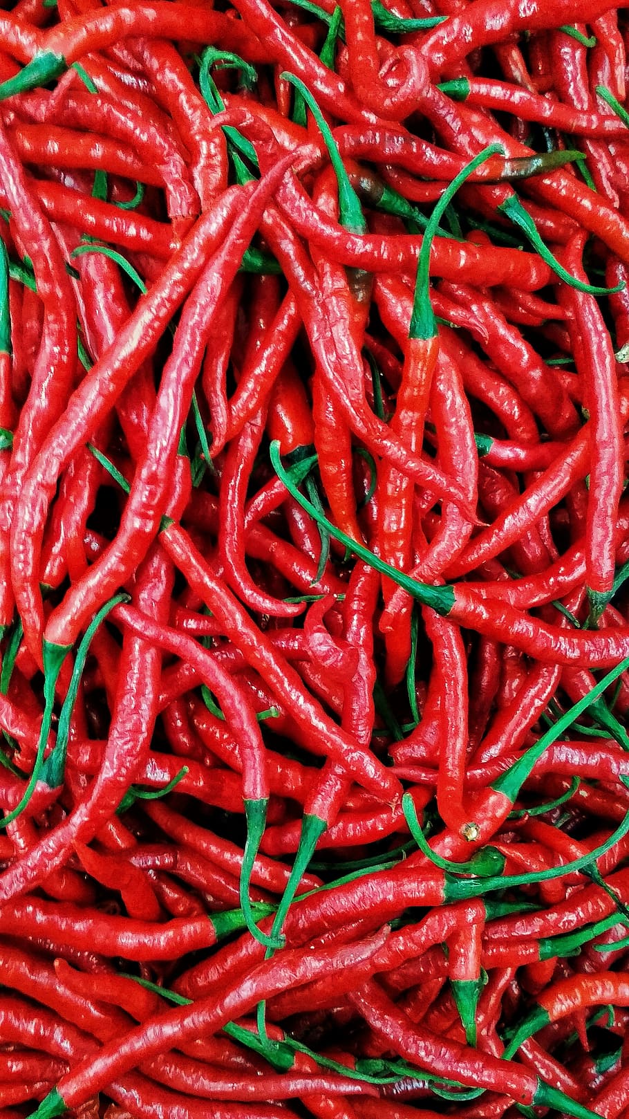 vegetarian, chili, red, texture, food, spice, chili pepper HD wallpaper
