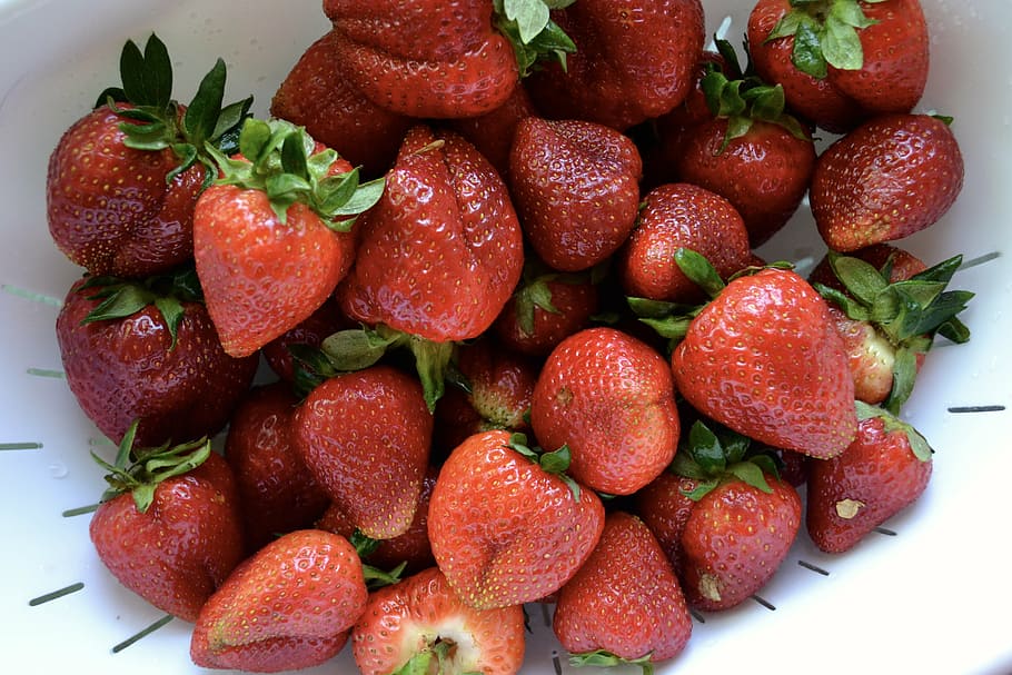 strawberry, farm, fresh, organic, summer, healthy, food, fruit HD wallpaper