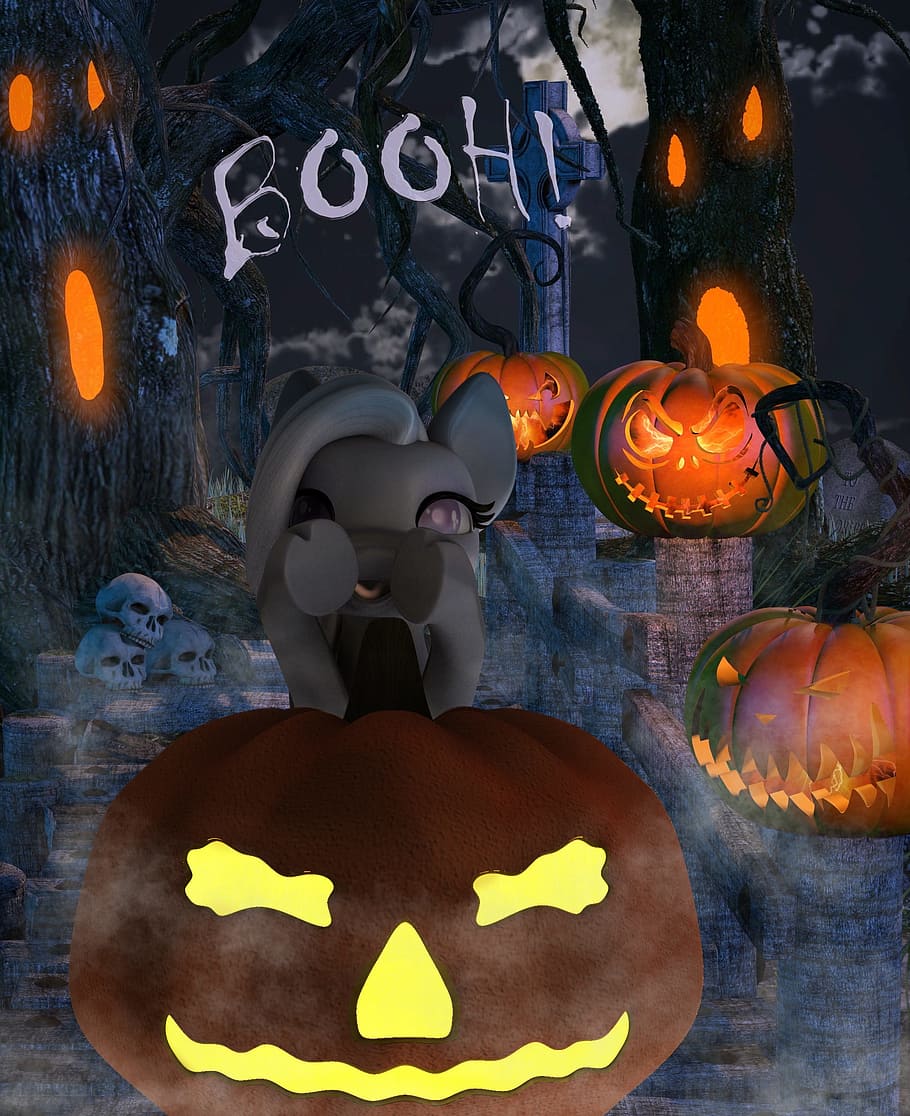 pony, sweet, cute, white, creepy, pumpkins, orange, blue, away HD wallpaper