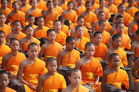group of men wearing orange tops at daytime, thailand, buddhists HD wallpaper
