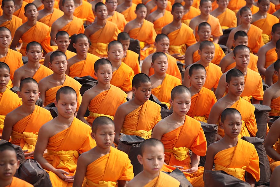 group of men wearing orange tops at daytime, thailand, buddhists
