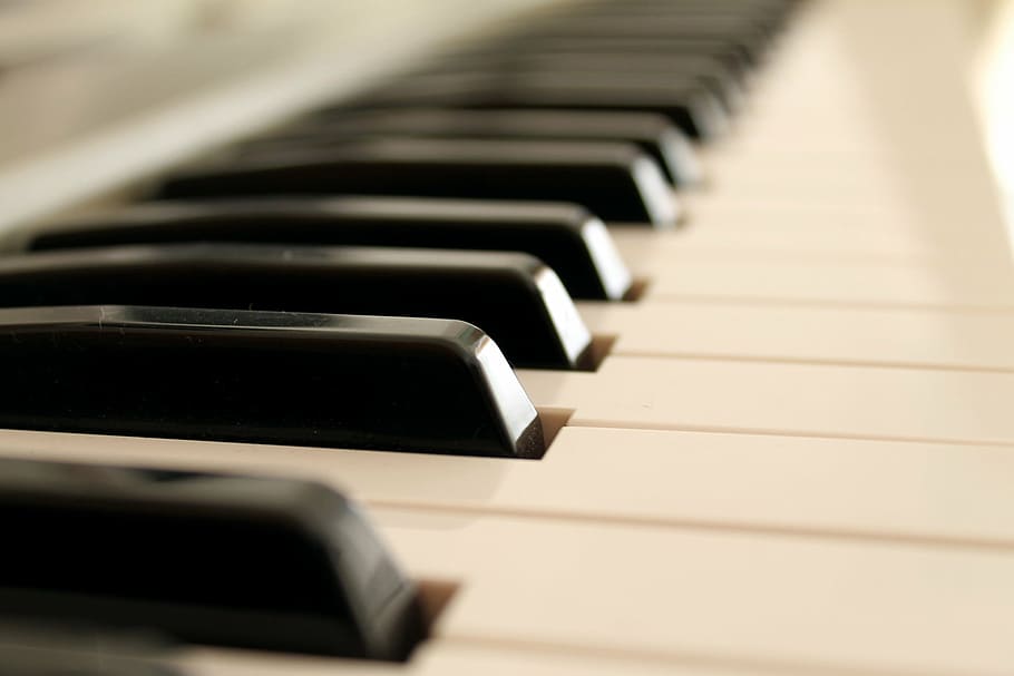 depth of field photography of keyboard, piano, music, instruments HD wallpaper