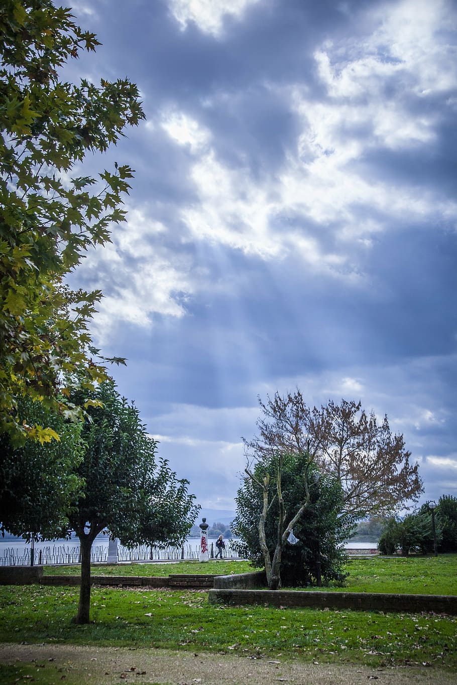 lake, trees, sky, trunk, water, clouds, green, blue, cloud - sky HD wallpaper