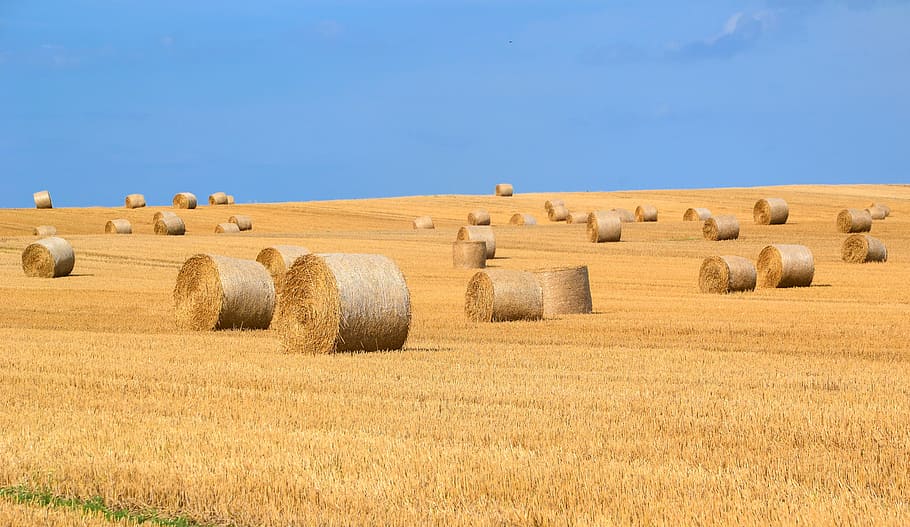 food, landscape, sky, field, agriculture, arable, bale, countryside HD wallpaper