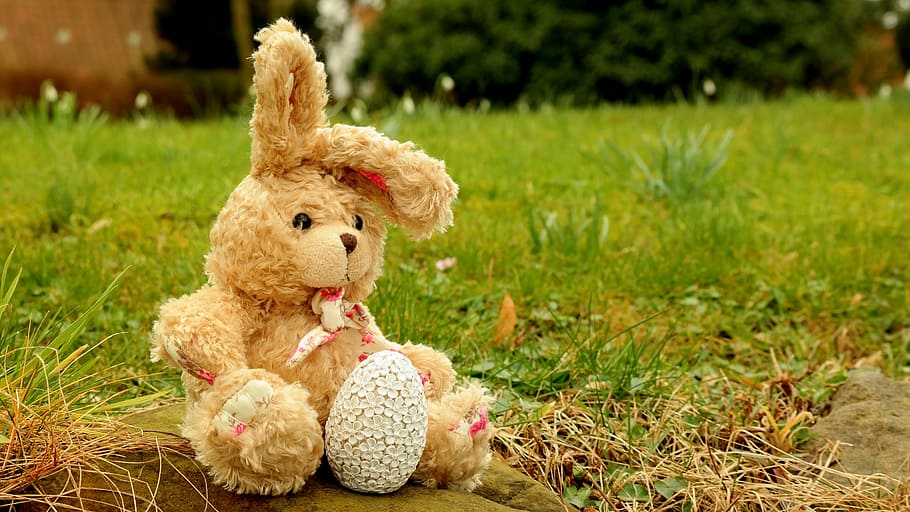 brown rabbit plush toy, hare, soft toy, fabric, stuffed animal HD wallpaper