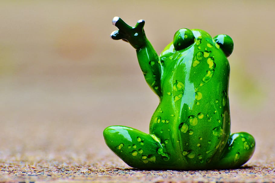 frog, wave, farewell, funny, cute, figure, sweet, green Color HD wallpaper
