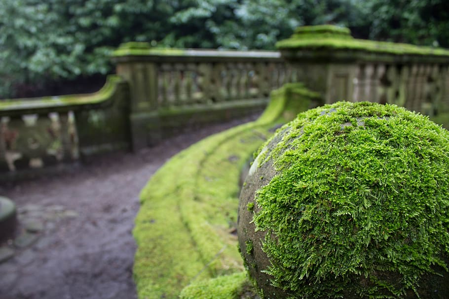 Bridge, River, Time, summer, architecture, old, stone, green HD wallpaper